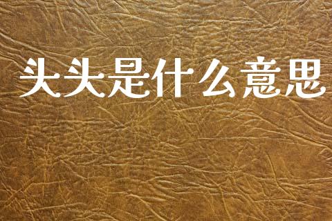 头头是什么意思_https://wap.jnlaobingbanjia.com_财务管理_第1张