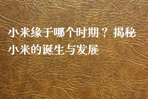 小米缘于哪个时期？ 揭秘小米的诞生与发展_https://wap.jnlaobingbanjia.com_财务管理_第1张