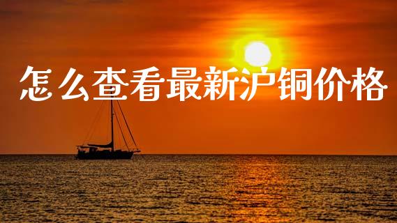怎么查看最新沪铜价格_https://wap.jnlaobingbanjia.com_金融理财_第1张