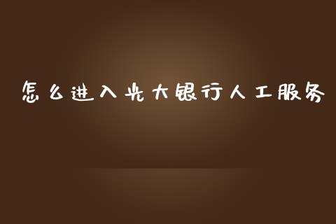 怎么进入光大银行人工服务_https://wap.jnlaobingbanjia.com_证券公告_第1张