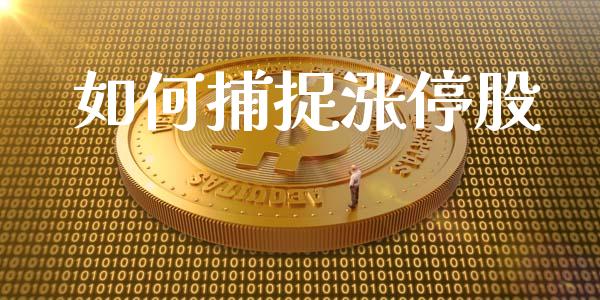 如何捕捉涨停股_https://wap.jnlaobingbanjia.com_基金分析_第1张