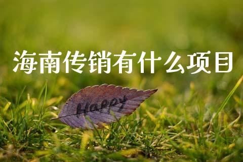 海南传销有什么项目_https://wap.jnlaobingbanjia.com_金融理财_第1张