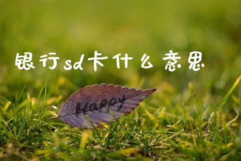 银行sd卡什么意思_https://wap.jnlaobingbanjia.com_证券公告_第1张