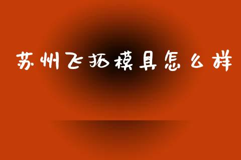 苏州飞拓模具怎么样_https://wap.jnlaobingbanjia.com_金融理财_第1张