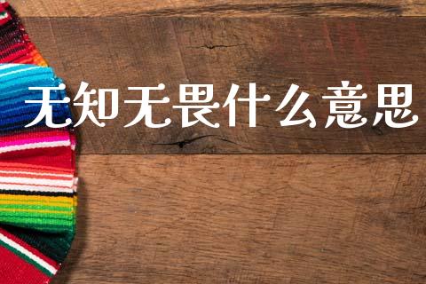 无知无畏什么意思_https://wap.jnlaobingbanjia.com_基金分析_第1张