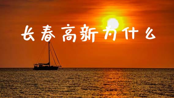 长春高新为什么_https://wap.jnlaobingbanjia.com_金融理财_第1张