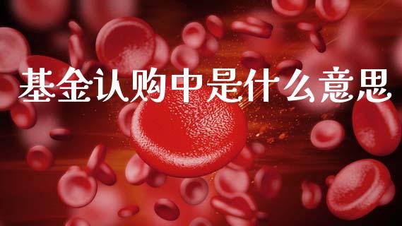 基金认购中是什么意思_https://wap.jnlaobingbanjia.com_财务管理_第1张
