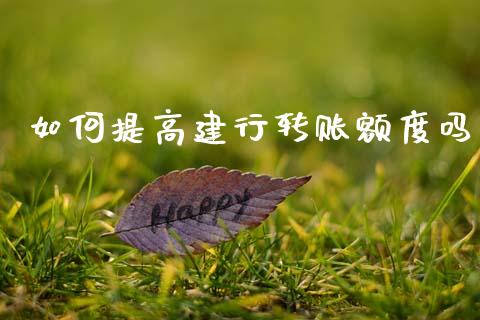 如何提高建行转账额度吗_https://wap.jnlaobingbanjia.com_基金分析_第1张