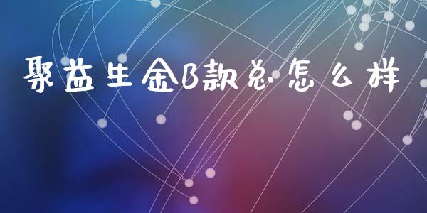 聚益生金B款总怎么样_https://wap.jnlaobingbanjia.com_证券公告_第1张