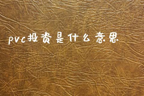 pvc投资是什么意思_https://wap.jnlaobingbanjia.com_财经资讯_第1张