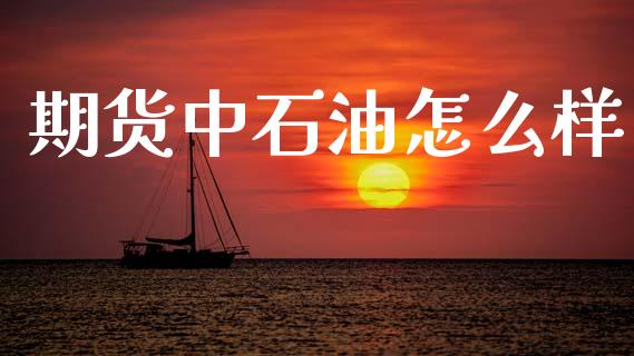 期货中石油怎么样_https://wap.jnlaobingbanjia.com_基金分析_第1张