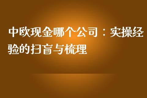 中欧现金哪个公司：实操经验的扫盲与梳理_https://wap.jnlaobingbanjia.com_金融理财_第1张