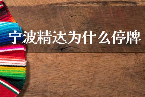 宁波精达为什么停牌_https://wap.jnlaobingbanjia.com_股市行情_第1张