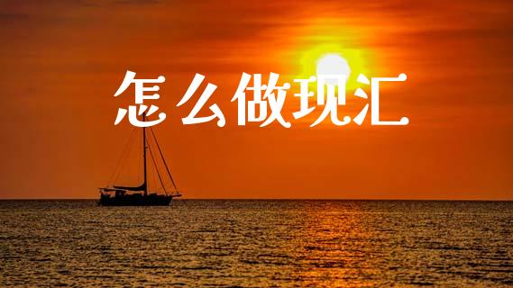 怎么做现汇_https://wap.jnlaobingbanjia.com_股市行情_第1张