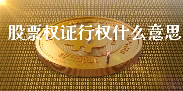 股票权证行权什么意思_https://wap.jnlaobingbanjia.com_金融理财_第1张
