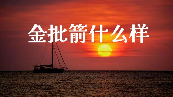 金批箭什么样_https://wap.jnlaobingbanjia.com_财务管理_第1张