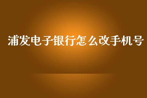 浦发电子银行怎么改手机号_https://wap.jnlaobingbanjia.com_财务管理_第1张
