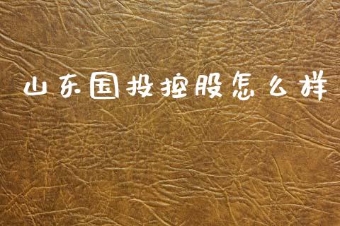 山东国投控股怎么样_https://wap.jnlaobingbanjia.com_财务管理_第1张