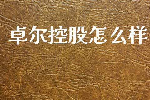 卓尔控股怎么样_https://wap.jnlaobingbanjia.com_股市行情_第1张
