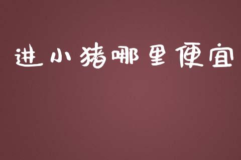 进小猪哪里便宜_https://wap.jnlaobingbanjia.com_证券公告_第1张