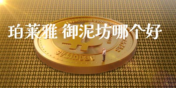 珀莱雅 御泥坊哪个好_https://wap.jnlaobingbanjia.com_金融理财_第1张