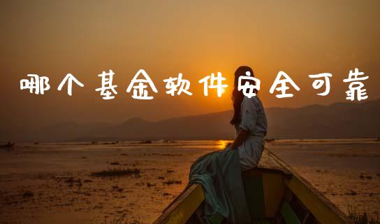 哪个基金软件安全可靠_https://wap.jnlaobingbanjia.com_财务管理_第1张
