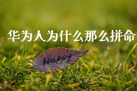 华为人为什么那么拼命_https://wap.jnlaobingbanjia.com_财务管理_第1张