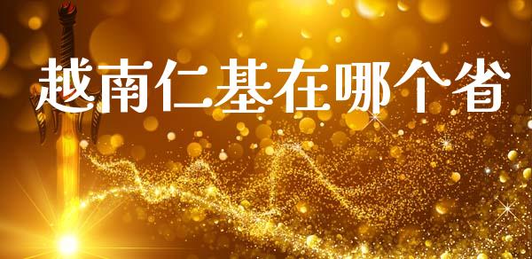 越南仁基在哪个省_https://wap.jnlaobingbanjia.com_基金分析_第1张
