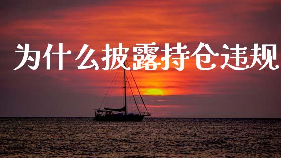 为什么披露持仓违规_https://wap.jnlaobingbanjia.com_基金分析_第1张