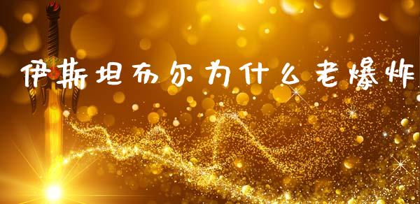 伊斯坦布尔为什么老爆炸_https://wap.jnlaobingbanjia.com_基金分析_第1张