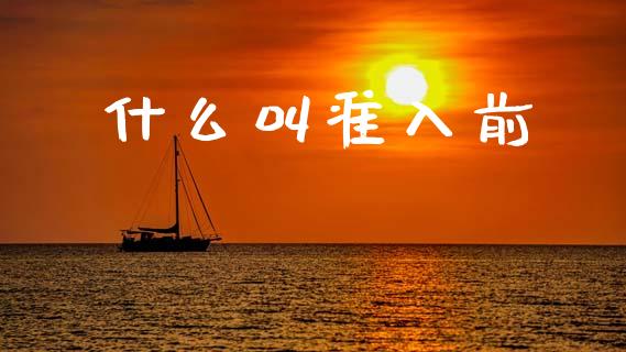 什么叫准入前_https://wap.jnlaobingbanjia.com_证券公告_第1张