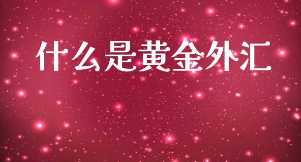 什么是黄金外汇_https://wap.jnlaobingbanjia.com_基金分析_第1张