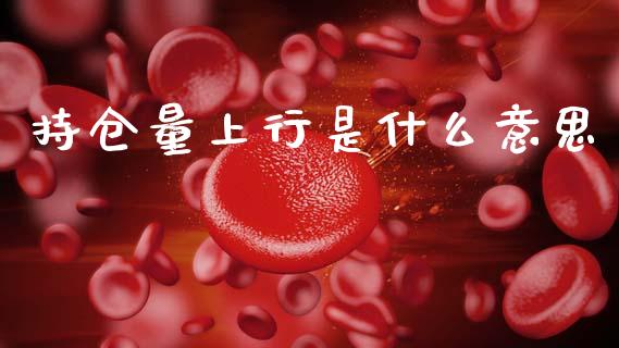 持仓量上行是什么意思_https://wap.jnlaobingbanjia.com_财务管理_第1张