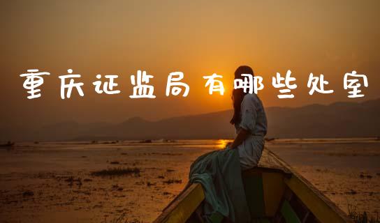 重庆证监局有哪些处室_https://wap.jnlaobingbanjia.com_财经资讯_第1张