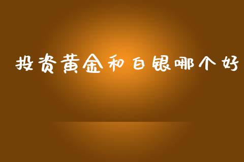 投资黄金和白银哪个好_https://wap.jnlaobingbanjia.com_财经资讯_第1张