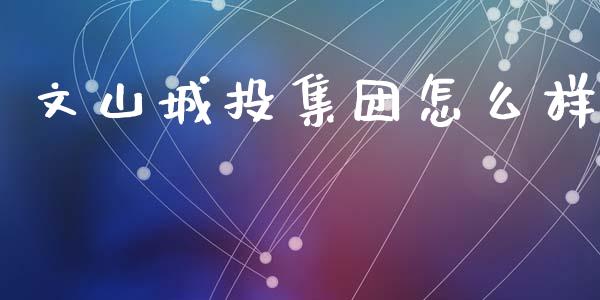 文山城投集团怎么样_https://wap.jnlaobingbanjia.com_金融理财_第1张
