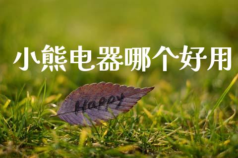 小熊电器哪个好用_https://wap.jnlaobingbanjia.com_财务管理_第1张