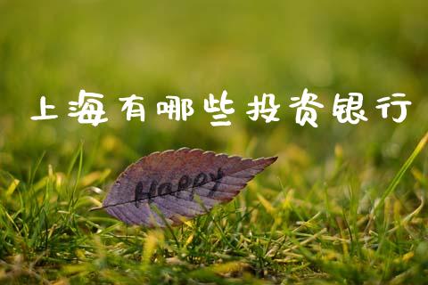 上海有哪些投资银行_https://wap.jnlaobingbanjia.com_证券公告_第1张