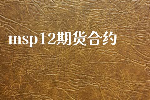 msp12期货合约_https://wap.jnlaobingbanjia.com_财务管理_第1张