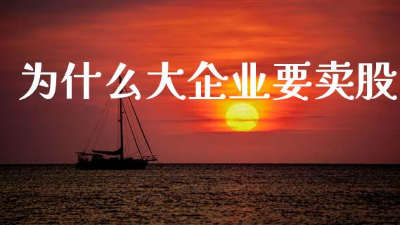 为什么大企业要卖股_https://wap.jnlaobingbanjia.com_证券公告_第1张