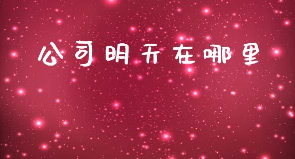 公司明天在哪里_https://wap.jnlaobingbanjia.com_证券公告_第1张