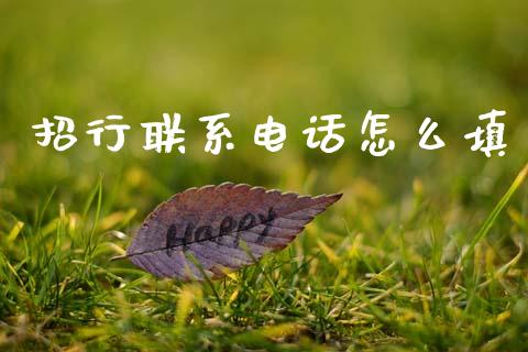 招行联系电话怎么填_https://wap.jnlaobingbanjia.com_财经资讯_第1张