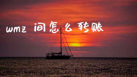 wmz 间怎么转账_https://wap.jnlaobingbanjia.com_基金分析_第1张