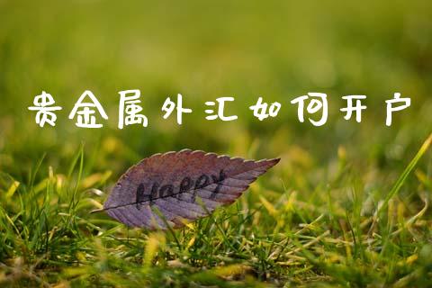 贵金属外汇如何开户_https://wap.jnlaobingbanjia.com_股市行情_第1张