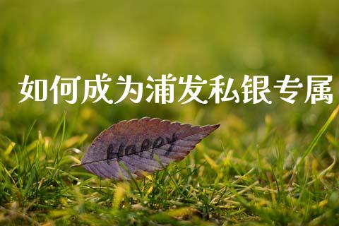如何成为浦发私银专属_https://wap.jnlaobingbanjia.com_证券公告_第1张