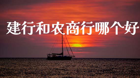 建行和农商行哪个好_https://wap.jnlaobingbanjia.com_财经资讯_第1张