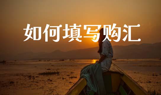 如何填写购汇_https://wap.jnlaobingbanjia.com_证券公告_第1张