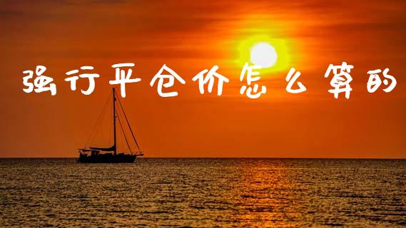 强行平仓价怎么算的_https://wap.jnlaobingbanjia.com_基金分析_第1张