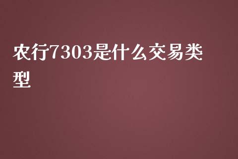 农行7303是什么交易类型_https://wap.jnlaobingbanjia.com_基金分析_第1张
