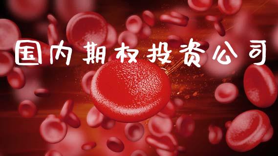 国内期权投资公司_https://wap.jnlaobingbanjia.com_财经资讯_第1张